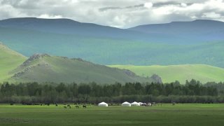 蒙古包帐篷，马和动物在蒙古地理大山谷视频素材模板下载