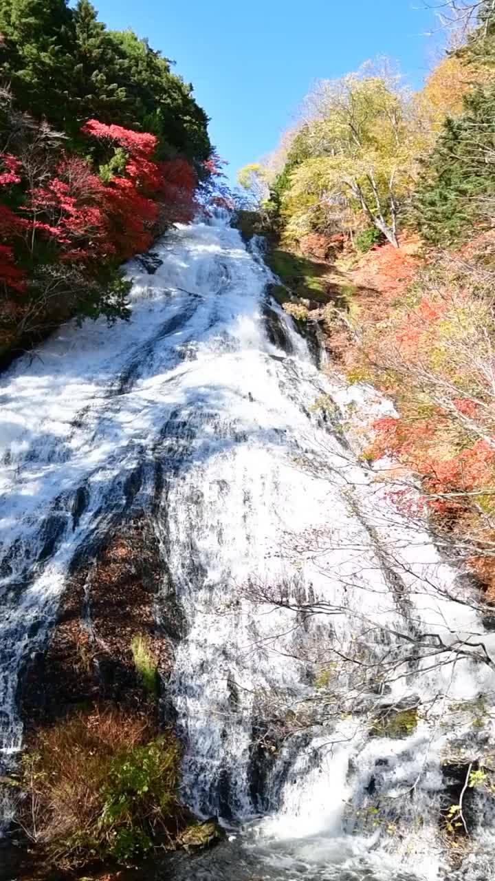 日本枥木县秋日著名的瀑布:由木瀑布
