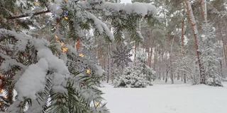 圣诞灯和雪花装饰在冬季公园的冷杉树上