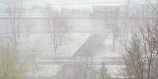 春天里不期而至的降雪。这个城市的春天有大风雪。