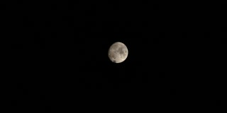 夜晚的月亮从莫斯科地区的领土上升起