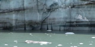 阿拉斯加冰川湾国家公园的马杰里冰川黑色沉积物线的特写。