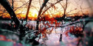 冬天的风景,日落。雪花的背景