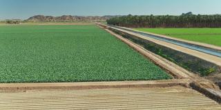 运河灌溉帝国县农田在加利福尼亚在冬天-空中