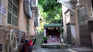香港西贡村的神祠及树木视频素材模板下载