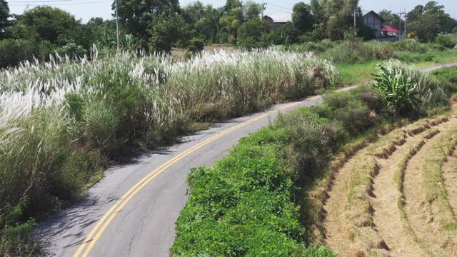 无人机拍摄到一名男子在当地道路上骑自行车