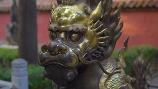 青铜龙位于紫禁城的内部，紫禁城是中国古代皇帝的宫殿视频素材模板下载