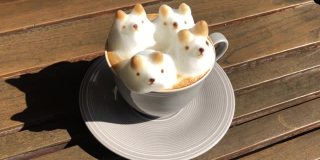 3D拉花咖啡，可爱的泰迪熊和牛奶泡沫。以杂色膜纹埋散焦为背景。