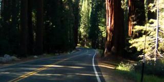 穿越美国西南部的国家公园:红杉大道和国王峡谷公园，美国加利福尼亚州。
