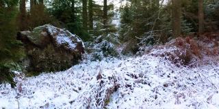 这是一架无人机在苏格兰西南部的邓弗里斯和加洛韦被白雪覆盖的森林中拍摄的照片