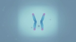 染色体端粒突出视频素材模板下载