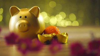 金色的小猪储蓄罐用装饰装饰的金元宝视频素材模板下载