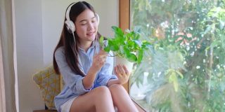 可爱的亚洲年轻女子喜欢看盆中绿色植物，她坐在窗前的玻璃