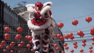 春节期间的中国狮子表演。视频素材模板下载