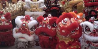 一群在节日期间表演的中国狮子。