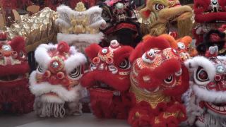 一群在节日期间表演的中国狮子。视频素材模板下载