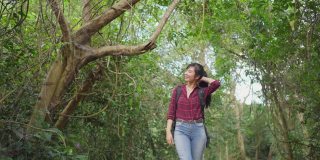 一个年轻的亚洲女人独自在森林里旅行。女孩在大自然中感受着清新、美妙、刺激和放松，环顾四周的风景，然后继续快乐地散步。