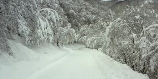 雪覆盖的山路，雪覆盖的树林