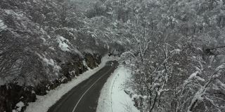 雪覆盖的山路，雪覆盖的树林