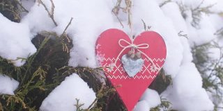 红心挂在雪白的枝头，在风中摇曳。情人节