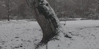 一个秋千挂在树枝上的冬日雪地里的景象。阿塞拜疆自然