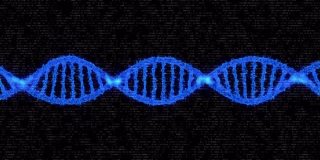 用于科学网络空间多媒体的蓝色DNA链纺丝摘要