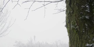 一个人在雪地里走进薄雾的长镜头