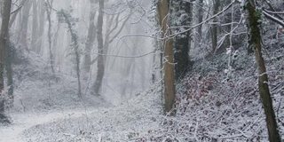 雪地里的小路上的追踪镜头