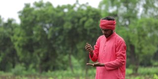 印度农民拿着黑土在农田里进行分析