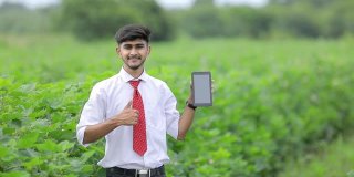 年轻的印度农学家在棉田展示智能手机屏幕