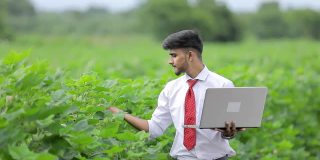 年轻的印度农学家在棉花田用智能手机分析和查找信息