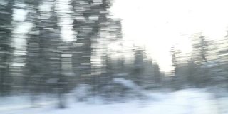 相机在手中快速旋转。冬季森林