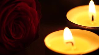 玫瑰和茶灯蜡烛视频素材模板下载