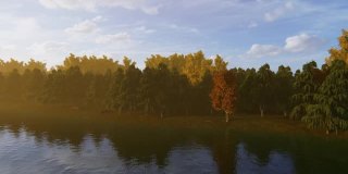 森林在秋天沿着一条河，日落的时候
