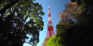 东京塔在绿色树顶，东京，日本