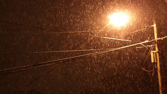 雪在夜里落在路灯上