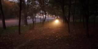 黄昏时分，一个男人骑着摩托车在树林中穿行，车灯亮着