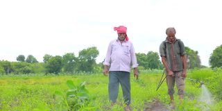 年轻的印度农民在田间喷洒