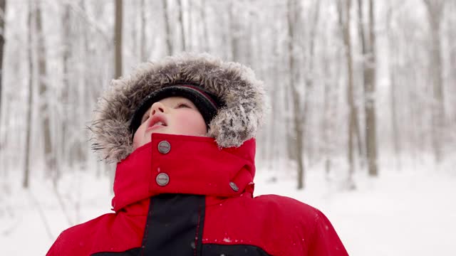 冬天的森林里用舌头捕捉雪花的小男孩