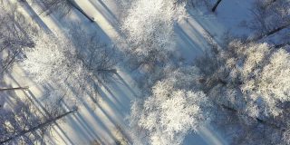 被雪覆盖的森林的实时/航拍图像