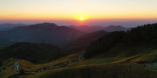 夕阳下盛开的黄色向日葵在山景上