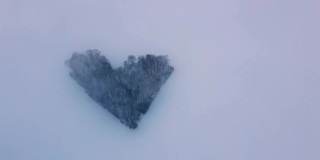 一架无人机穿过云层，在一片真正的心形森林上拍摄。暴风雪中的浪漫现象。