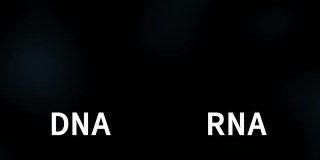 RNA和DNA链分子三维模型动画