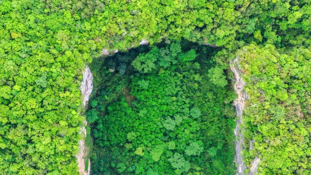 地面下沉，在原始森林中形成了一个巨大的天坑