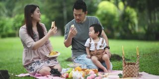 亚洲华人青年家庭享受户外野餐时间在周末