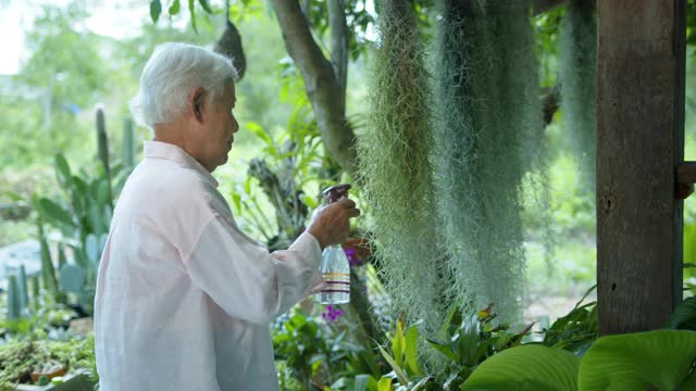 中镜头-一个快乐漂亮的亚洲高级妇女在郁郁葱葱的户外花园浇水，转身对着镜头微笑。快乐的退休生活。老年人的生活方式和保健理念。