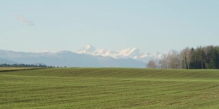 风景拍摄郁郁葱葱的绿色田野和雪山在远处。