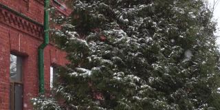 老红砖建筑附近的雪树18 19世纪的冬天白天下雪。俄罗斯帝国时期最古老的旅馆或旅舍为游客提供的是暴风雪、恶劣天气