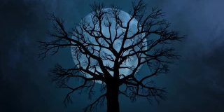 大月亮和孤独的树在夜空中