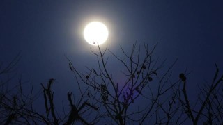 满月和移动的云，夜晚的风景视频素材模板下载